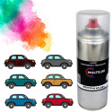 lakier w puszce spray aerozol pod kod koloru samochodu